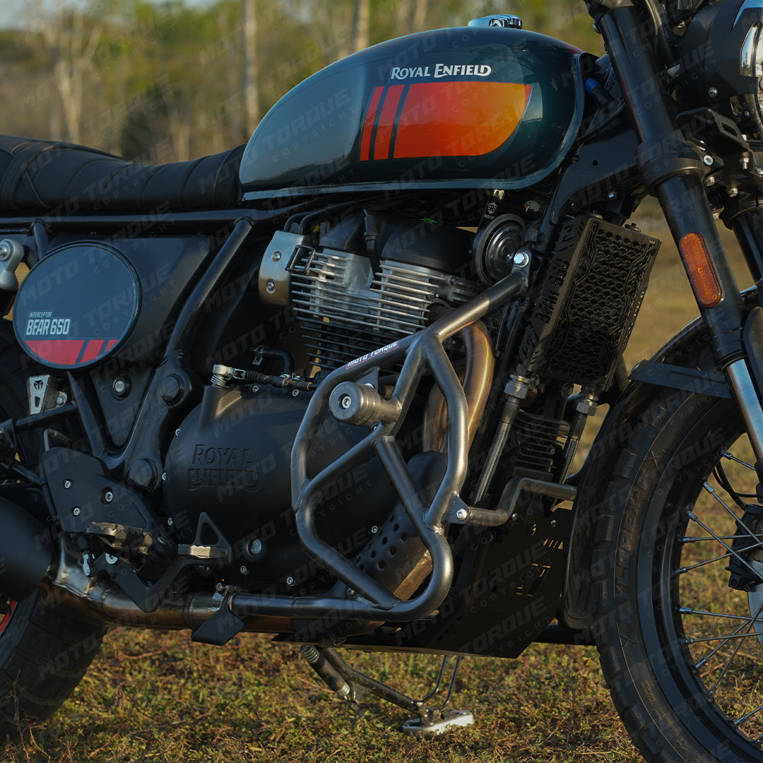 CRASH GUARD FOR BEAR 650 - Image 2